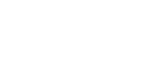 Primoris Services
